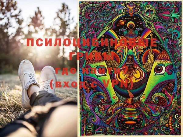 spice Богородицк