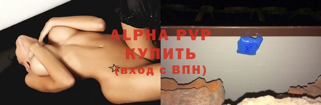 дурь Богданович