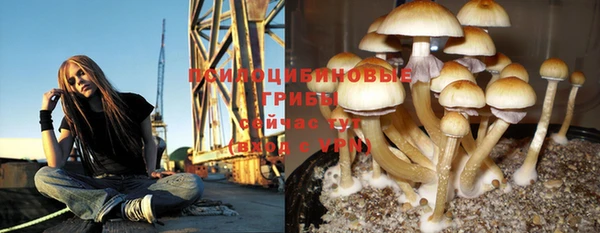 твердый Белоозёрский